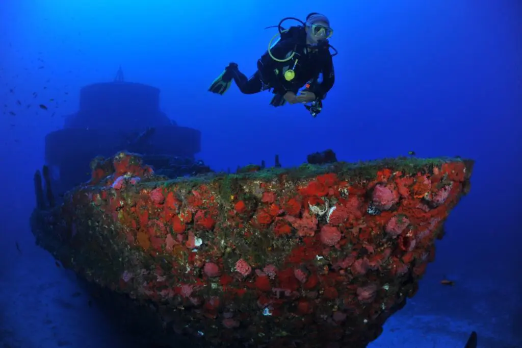 buceo en noronha,buceo en fernando de noronha