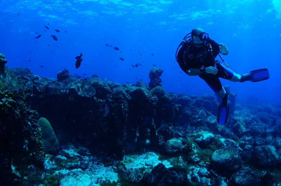 Fernando de noronha portada