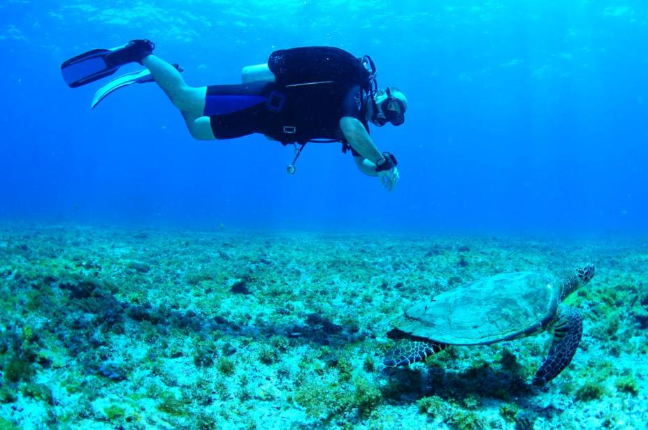Buceo en Brasil con Tortuga Marina en Fernando de Noronha del Instructor Alejandro Garcia Arias