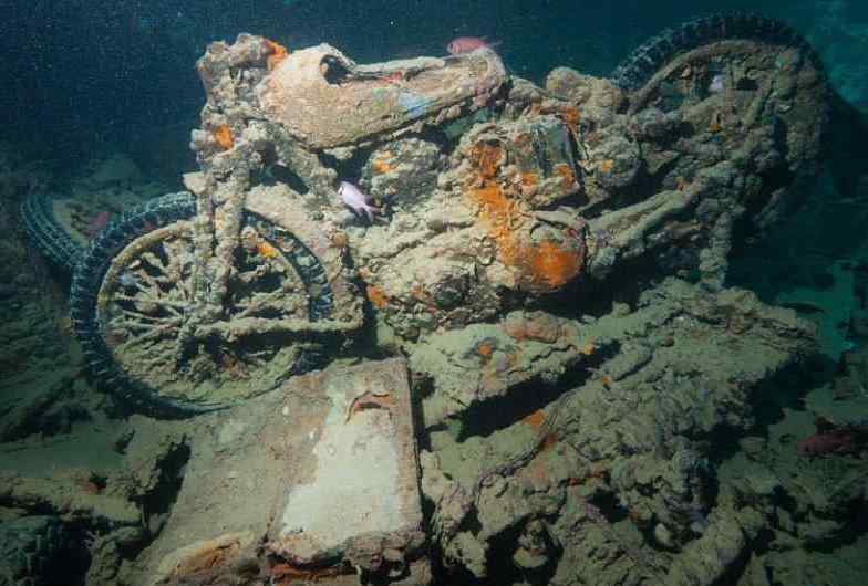Buceo en Naufragio Thistlegorm en Mar Rojo