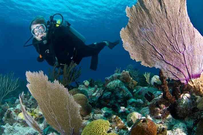 Buceador en los arrecifes de cozumel en Mexico