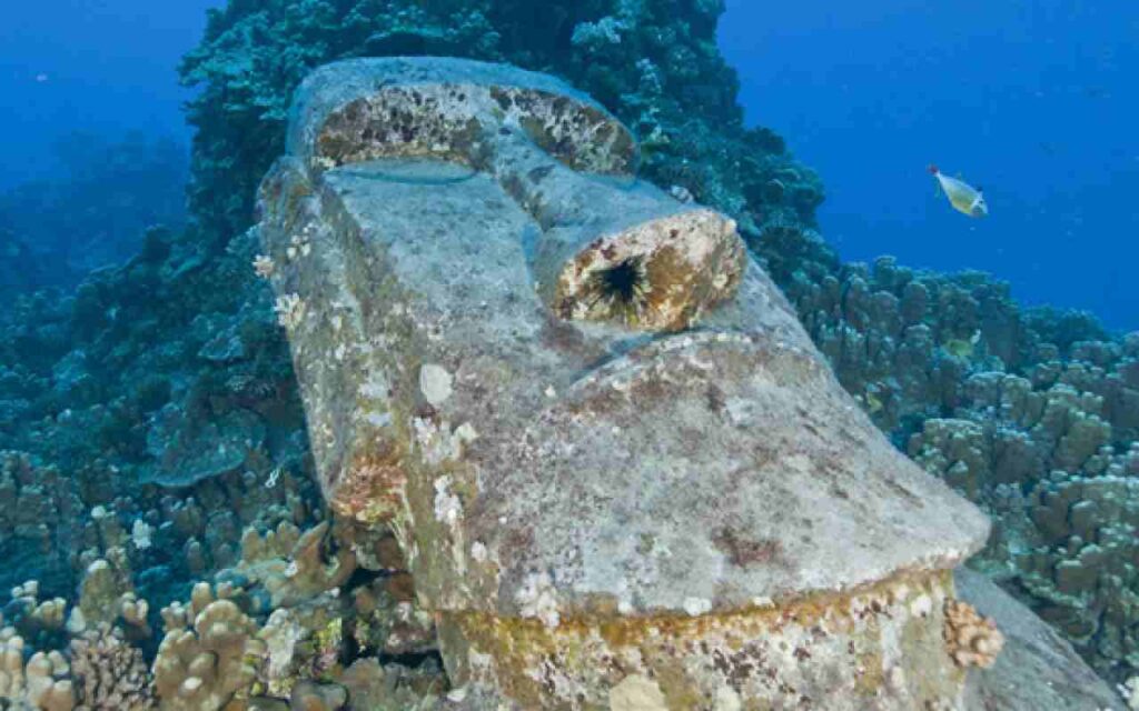 buceo en isla de pascua,buceo en pascua,buceo en rapa nui,buceo en moai