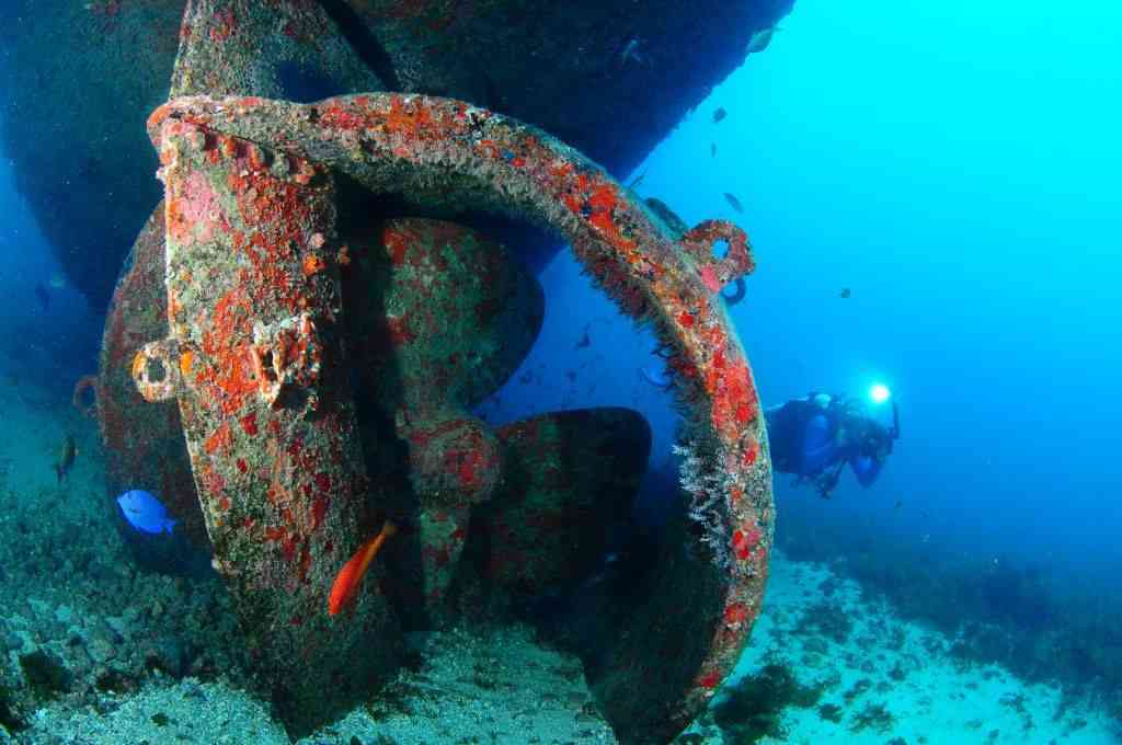 Buceo en naufragio en Recife Brasil