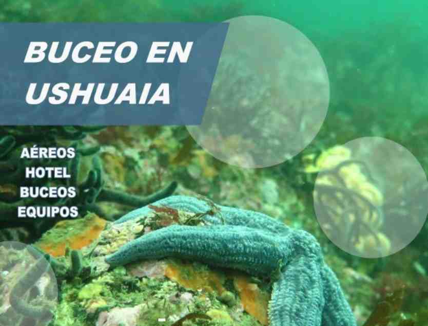 Buceo en Ushuaia. Estrellas de mar en el canal de Beagle
