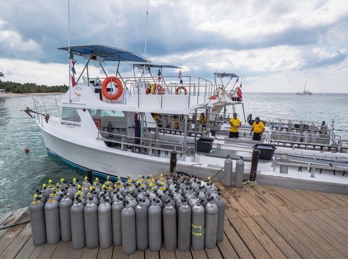 buceo en cozumel con dressel divers